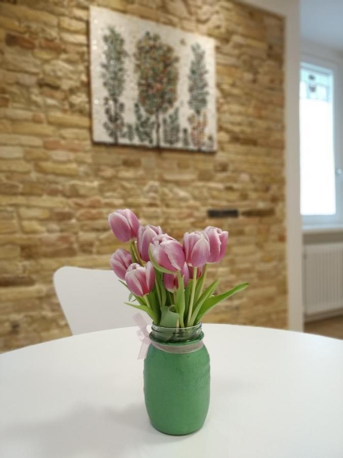 B&B Dimora Damiani Montefiore dellʼAso Extérieur photo